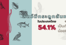 สัตว์มีกระดูกสันหลังในประเทศไทย 54.1% เป็นกังวลน้อยที่สุด?